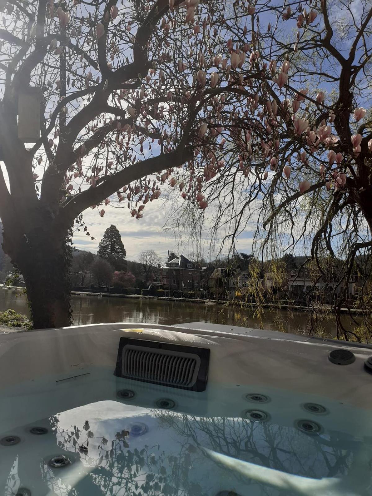Pieds Dans L'Eau Private Wellness Bordure De Meuse Vila Lustin Exterior foto