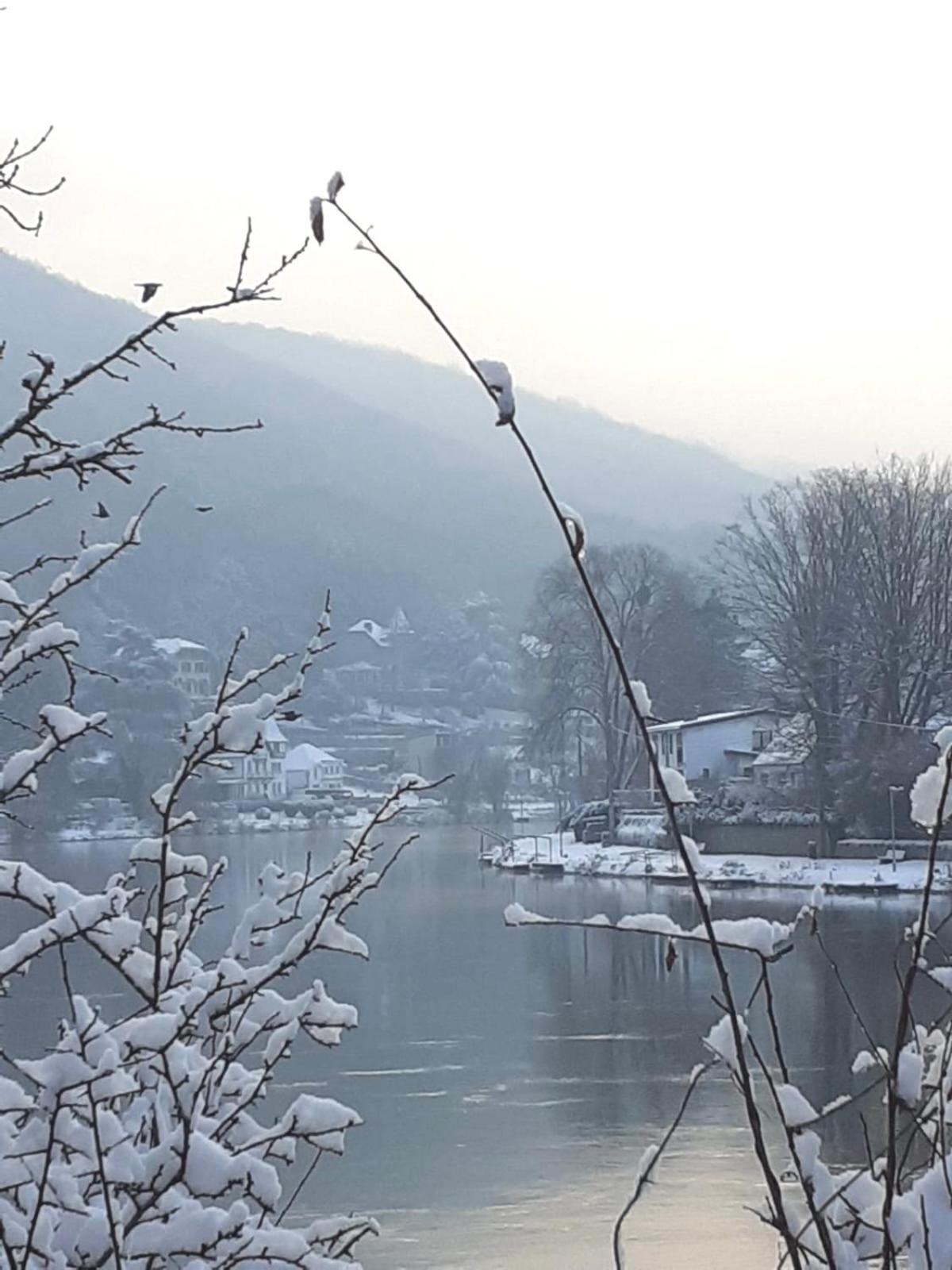 Pieds Dans L'Eau Private Wellness Bordure De Meuse Vila Lustin Exterior foto